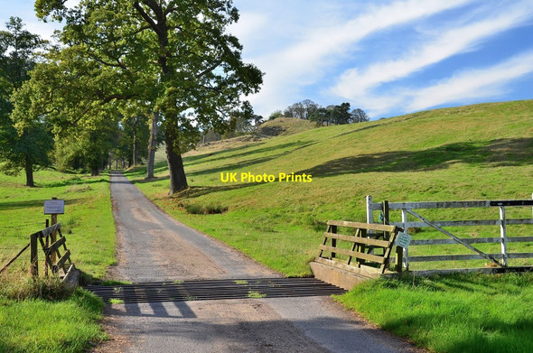 Photo 6"x4" Estate road and cattle grid, Dalmeny Dalmeny c2014