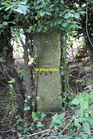 Photo 6"x4" Benchmarked post in hedge of Firby Road Firby\/SE2686 c2014