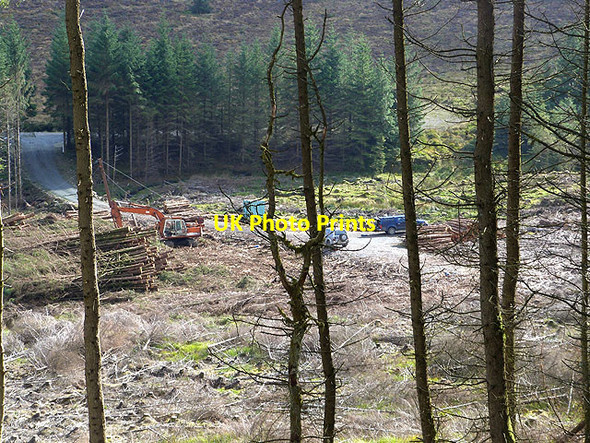 Photo 6"x4" Forest operations Greenan\/T1487 c2014