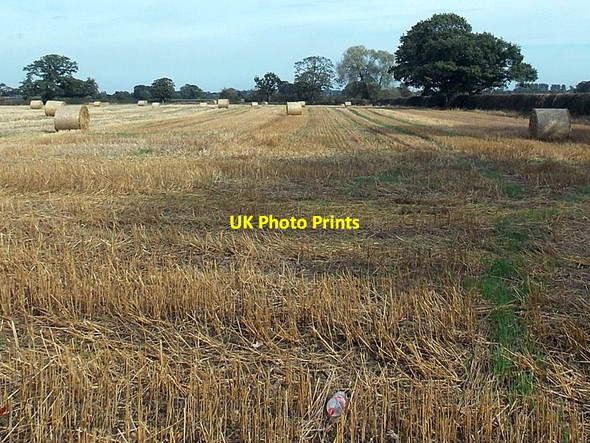 Photo 6"x4" Early October in rural north Shropshire Barkers Green c2014