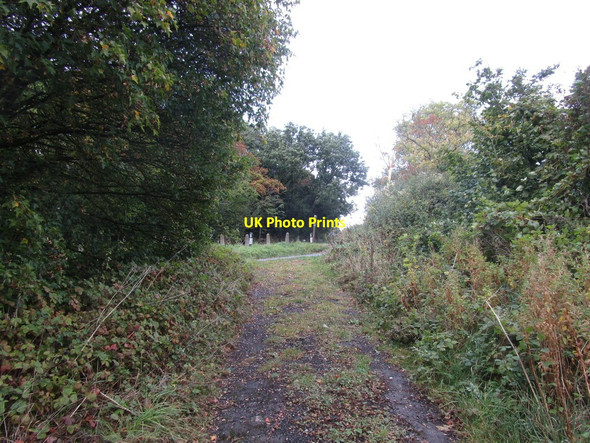 Photo 6"x4" Track up to the road Bricklehampton c2014