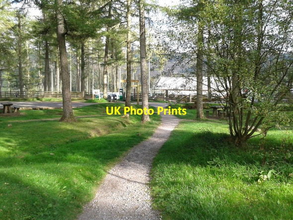 Photo 6"x4" Footpath at the forest centre Nant-ddu c2014