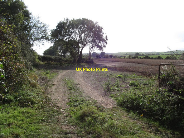 Photo 6"x4" Ploughed land next to the path leading to the Ballynoe Stone Circle Downpatrick c2014