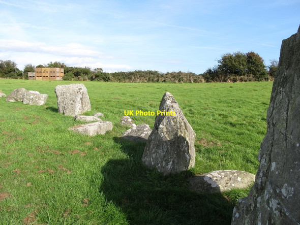 Photo 6"x4" Some of the 70 upright stones in the Ballynoe Stone Circle Downpatrick c2014