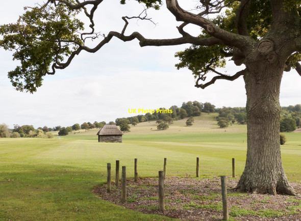 Photo 6"x4" Part of the grounds of Sherborne Castle, Dorset Sherborne\/ST6316 c2014