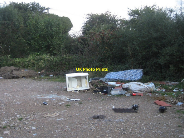 Photo 6"x4" Not a care in the world! Kempshott c2014