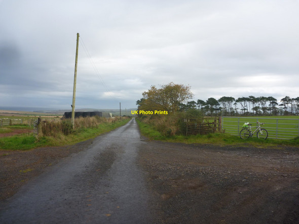 Photo 6"x4" Rural Berwickshire : The Lumsdaine Road At Buskin Farm Road-end Coldingham c2014