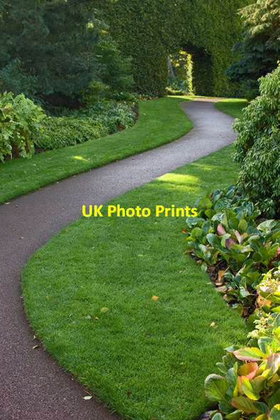 Photo 6"x4" Path in Edinburgh Botanic Garden Inverleith c2014