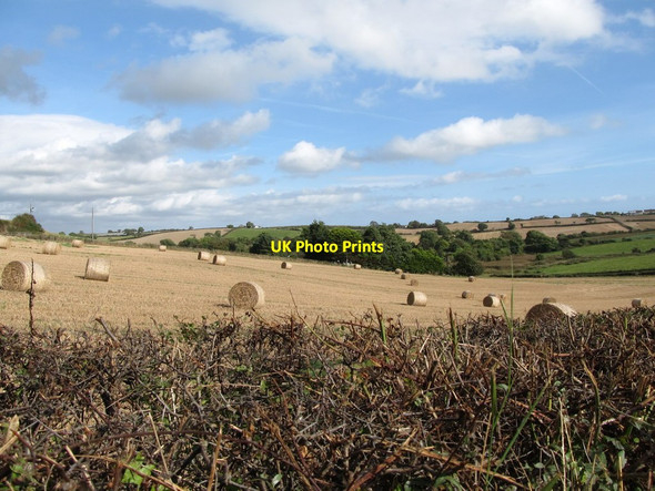 Photo 6"x4" Harvested grain field bordering on Bonecastle Road and Marshallstown Road Downpatrick c2014
