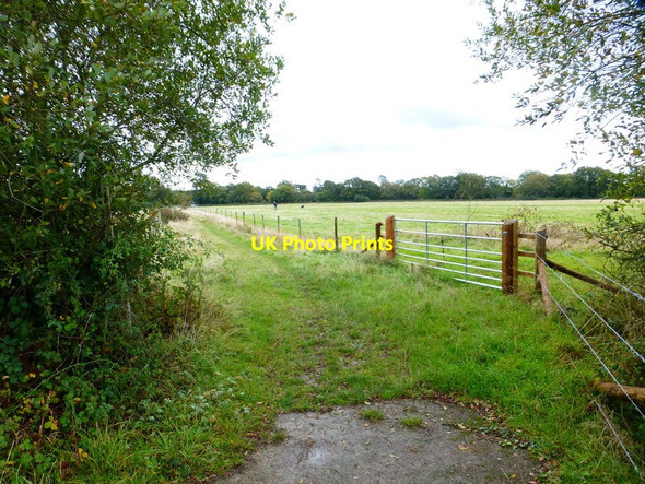 Photo 6"x4" Bridleway bend at drain crossing Durrants\/SU7209 c2014