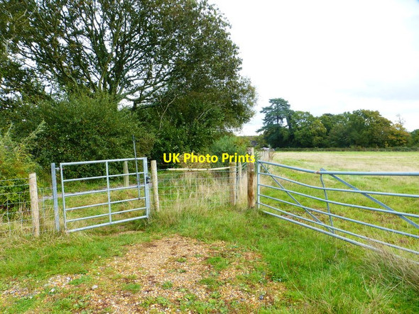 Photo 6"x4" Gate on bridleway in Staunton Country Park Durrants\/SU7209 c2014