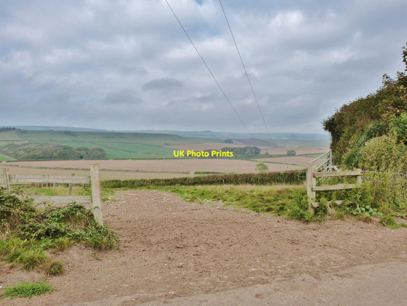 Photo 6"x4" Looking Eastwards from the lane to Higher Barn Farm, near Abbotsbury Langton Herring c2014