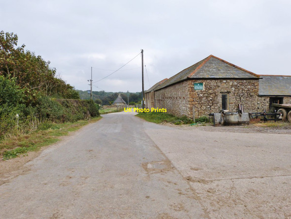 Photo 6"x4" New Barn Farm, near Langton Herring, Dorset Langton Herring c2014