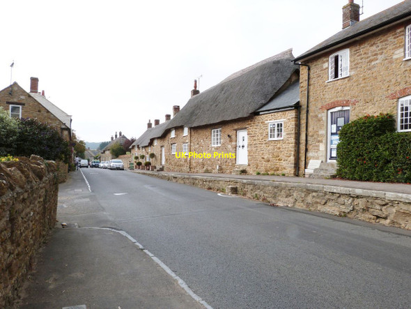 Photo 6"x4" West Street, Abbotsbury, Dorset, looking West Abbotsbury\/SY5785 c2014