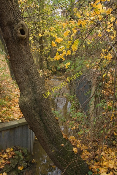 Photo 6"x4" Tributary of Pymmes Brook Barnet c2008