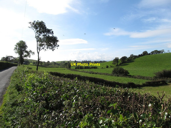 Photo 6"x4" Valley between drumlin ridges west of the Woodgrange Road Annacloy c2014