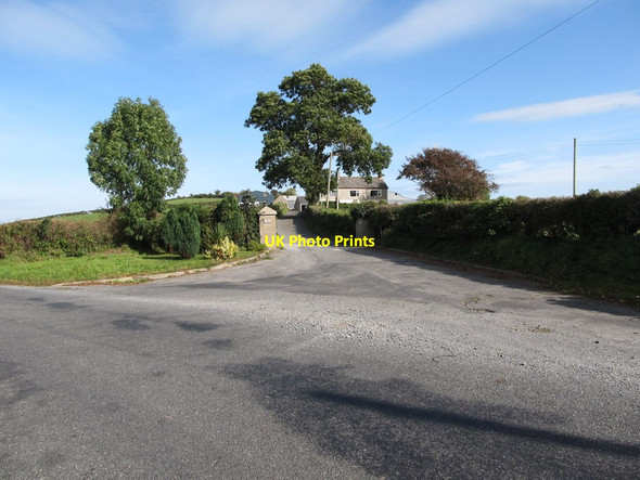 Photo 6"x4" Woodgrange Cottage Farm Annacloy c2014