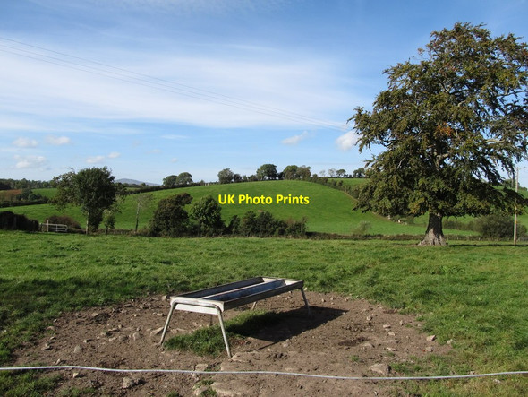 Photo 6"x4" The stoss end of a drumlin west of Woodgrange Road Annacloy c2014