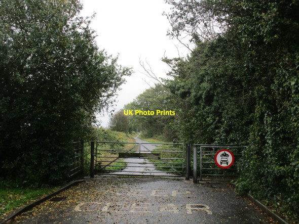 Photo 6"x4" Carr Lane, Willerby Cottingham\/TA0432 c2014