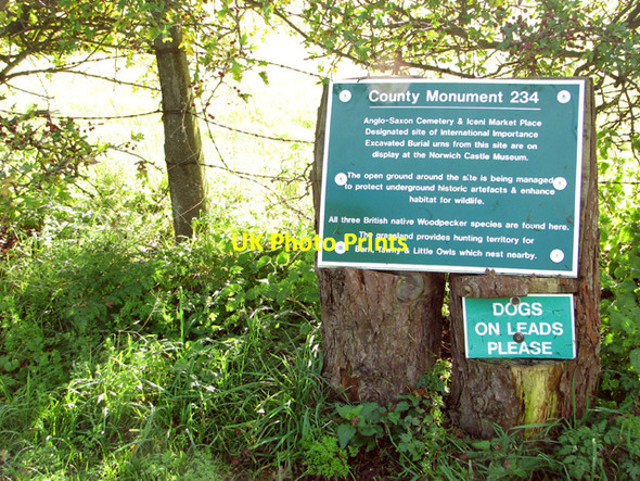 Photo 6"x4" Anglo Saxon burial ground near Caistor St Edmund (information board) Caistor St Edmund c2014
