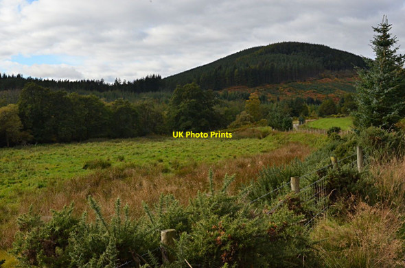 Photo 6"x4" Inchlumpie sawmill site Cnoc Ruadh c2014