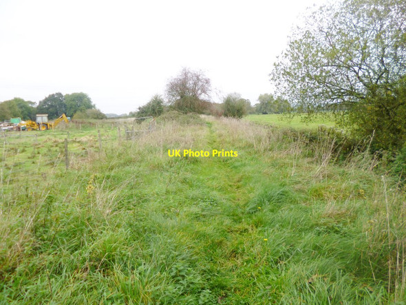 Photo 6"x4" Upper Burgate, railway trackbed Fordingbridge c2014