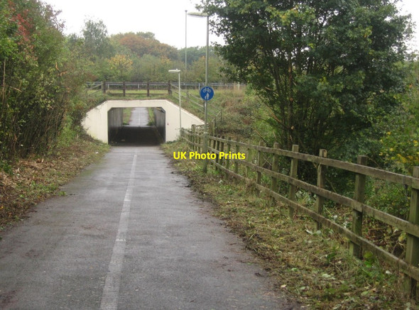 Photo 6"x4" Now I can see the path Basingstoke c2014
