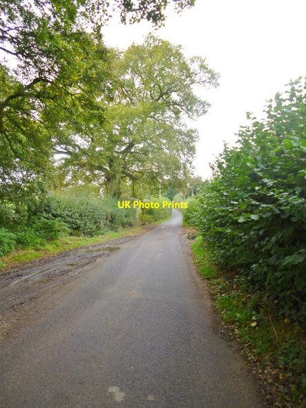 Photo 6"x4" Fryern Court Road Fordingbridge c2014