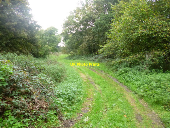 Photo 6"x4" Outwick, farm track Flood Street c2014