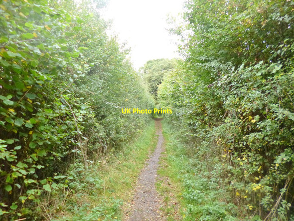 Photo 6"x4" Fordingbridge, Avon Valley Way Fordingbridge c2014