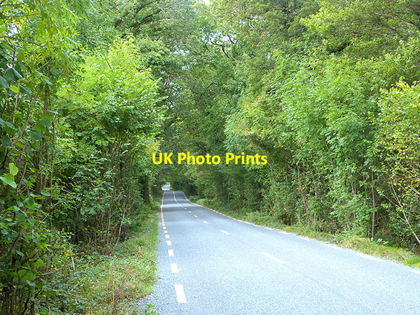 Photo 6"x4" The R755 road from Rathdrum to Laragh Laragh c2014