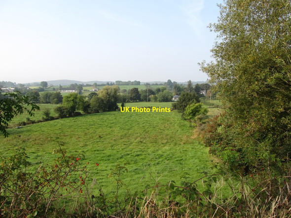 Photo 6"x4" Grazing land on the Forkhill River floodplain north of Mullaghbawn Forkhill c2014