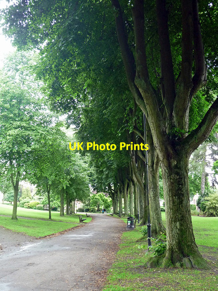 Photo 6"x4" Municipal Gardens, Aldershot Aldershot c2012
