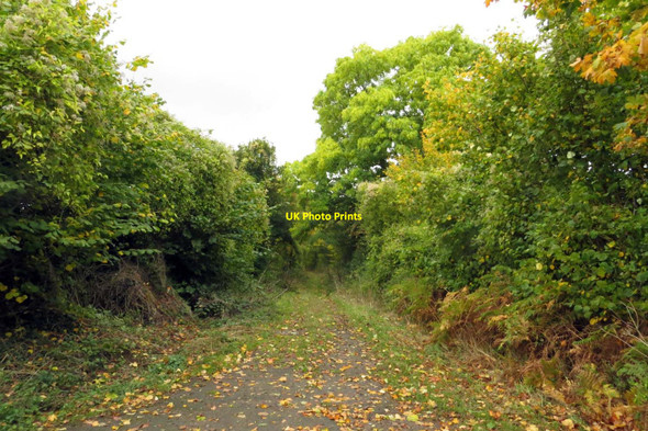 Photo 6"x4" The Wychwood Way to Chipping Norton Fawler\/SP3717 c2014