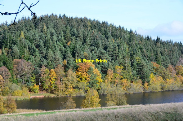 Photo 6"x4" Cauldshiels Hill and Loch Faldonside c2014