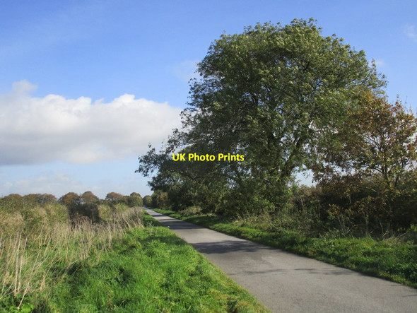 Photo 6"x4" Middlehowe Road Walkington c2014