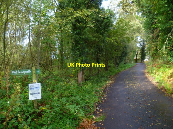 Photo 6"x4" Road to dwellings seen from footpath junction Wokingham c2014
