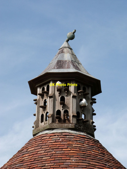 Photo 6"x4" Two of the dovecote's residents, Athelhampton House Gardens Athelhampton c2014