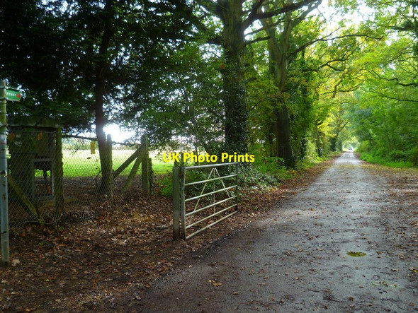 Photo 6"x4" Byway going south from Chapel Green Wokingham c2014