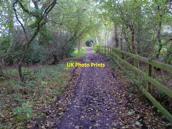 Photo 6"x4" Bridleway by Longmoor Bog looking east Arborfield Garrison c2014