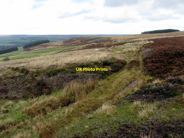 Photo 6"x4" Moorland track west of road at Meadows Edge Ramshaw\/NY9547 c2014