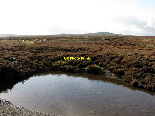 Photo 6"x4" Moorland pond below Bolt's Law Ramshaw\/NY9547 c2014