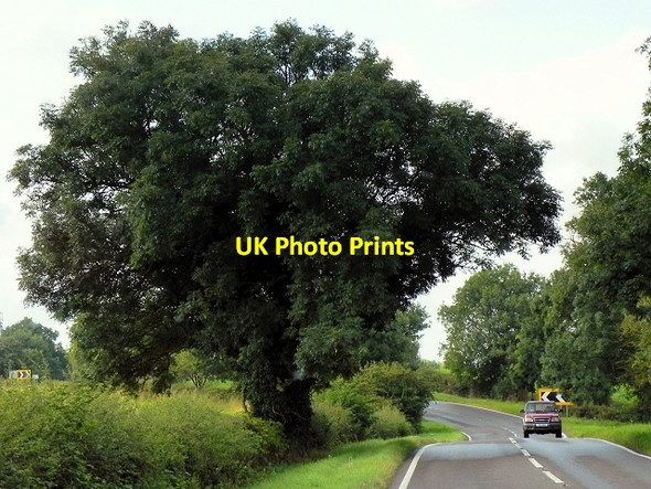 Photo 6"x4" A6121 towards Toft Toft\/TF0617 c2014