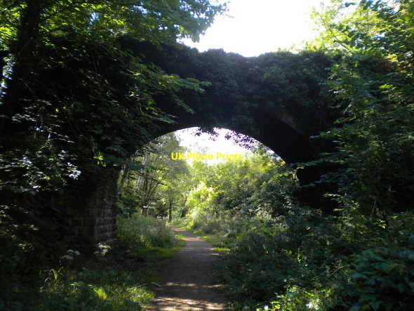 Photo 6"x4" Bridge over former railway line near Pleasley Vale Mansfield Woodhouse c2014