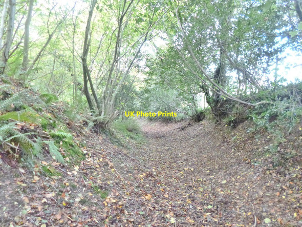 Photo 6"x4" Godshill, bridleway Fordingbridge c2014