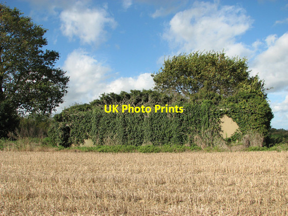 Photo 6"x4" Overgrown RAF building Fritton\/TG4018 c2014