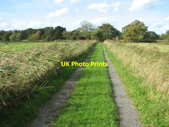 Photo 6"x4" Footpath to Dyke End Fritton\/TG4018 c2014