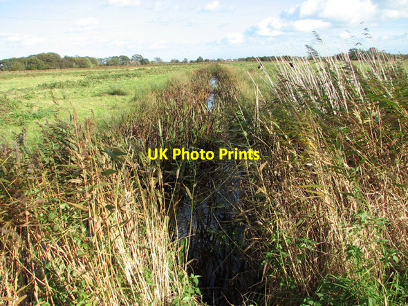 Photo 6"x4" Drainage ditch separating marsh pastures Fritton\/TG4018 c2014