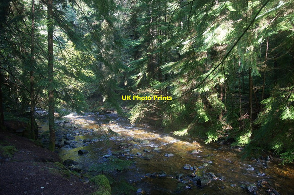 Photo 6"x4" Moniack Burn in Reelig Glen South Clunes c2014