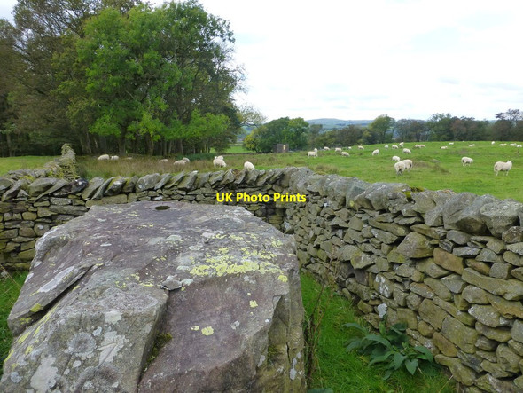 Photo 6"x4" Sheepfold on Fell Foot Road Kirkby Lonsdale c2014